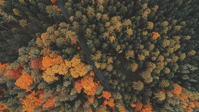 9 Best FREE AI Image Upscalers (2025) – Fix Low-Resolution Photos Easily